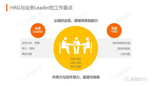 阿里巴巴人力資源與組織管理體系 值得借鑒的管理智慧